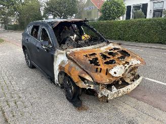 dañado vehículos comerciales Mazda CX-5 2.0 SkyActiv-G 165-16V 2019/8