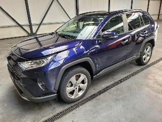Auto incidentate Toyota Rav-4 Hybrid 2.5 131-KW Automaat 2-WD Panoramadak 2019/1