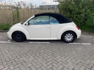 Volkswagen Beetle  picture 13