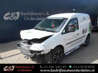 Coche accidentado Volkswagen Caddy Caddy III (2KA,2KH,2CA,2CH), Van, 2004 / 2015 1.9 TDI 2005/9