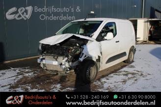 damaged commercial vehicles Opel Combo Combo Cargo, Van, 2018 1.6 CDTI 100 2019/6