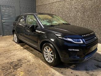skadebil auto Land Rover Range Rover Evoque EVOQUE (LVJ/LVS) SUV 2018 2.0 D 150 16V SUV  Diesel 1.999cc 110kW (150pk) 4x4 2018/2