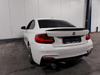 rottamate veicoli commerciali BMW 2-serie 2 serie (F22), Coupe, 2013 / 2021 218d 2.0 16V 2017/6
