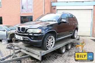 disassembly passenger cars BMW X5 X5 E53 3.0d automaat 2001/6